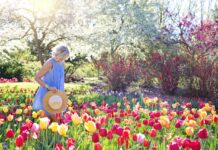 Paysagiste : quel est le prix de ses prestations ? jardin fleurs femme