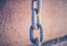 Combien coûte une stratégie netlinking ? Chaîne SEO netlinking