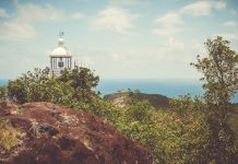 Combien vous faudra-t-il dépenser pour vous offrir un séjour en Martinique ? martinique séjour